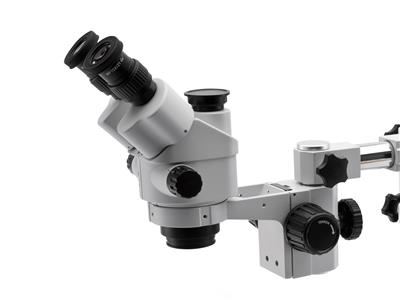 Trinokular Slx-5 Von X7 Bis X45 Stativ Stl1 Optika - Standard Bild - 2