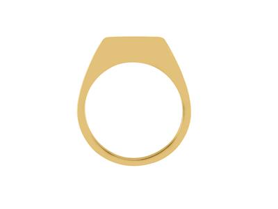 Geschlossener Ringkörper, 18k Gelbgold.ref. 01821