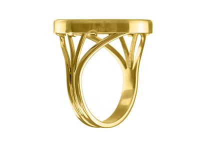 Ring Münzhalter 10 Franken, Unsichtbare Geschlossene Fassung, 18k Gelbgold