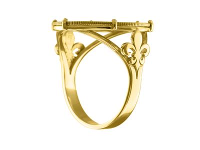 Ring Für 10-franc-münzen, 6 Krappen, Personalisierbar, 18k Gelbgold - Standard Bild - 1