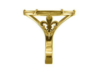 Münzhalterungsring Für 20 Franken, 6-krappen-fassung, Personalisierbar, 18k Gelbgold - Standard Bild - 2