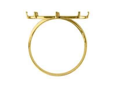 Ring Als Münzhalter Für 20 Franken,krallenfassung, 8 Krappen, Durchbr Ochener Ringkörper, Gelbgold 18k - Standard Bild - 3