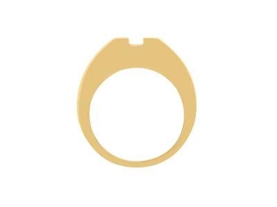 Solitär Für Einen 6 MM Groen Stein, 18k Graugold. Ref. Sf60-90