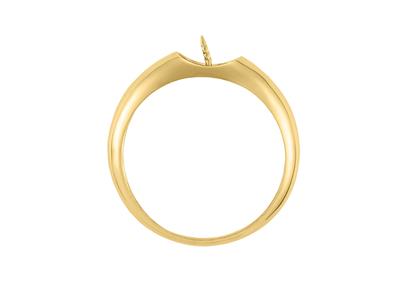 Ring Für Eine Perle Von 7 Bis 9 Mm, 18k Gelbgold. Ref. Bg138