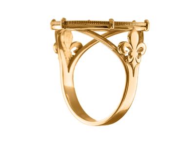 Ring Münzhalter 10 Franken, Set Mit6 Krallen, Anpassbar, Gold Rose18k 4n - Standard Bild - 1