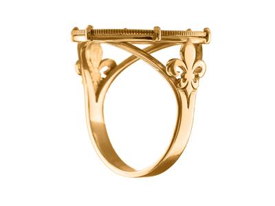 Ring Als Münzhalter Für 20 Franken,sechskrappenfassung, Personalisier Bar, Rotgold18k 4n