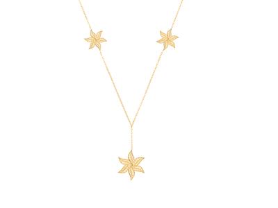 Kit Chaine Neptune Ylang Ylang Collier N1 Or J3n - Standard Bild - 1