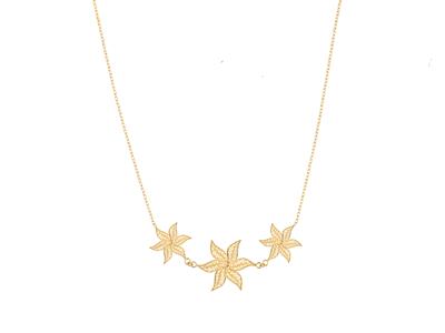 Kit Chaine Neptune Ylang Ylang Collier N2 Or J3n - Standard Bild - 2