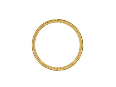 Lapidierte Fassung Für 20frs-münze,18k Gelbgold. Ref. 02505