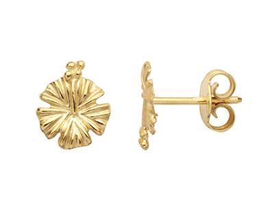 Ohrringe Hibiskus 8 Mm, Gelbgold 750 - Standard Bild - 1
