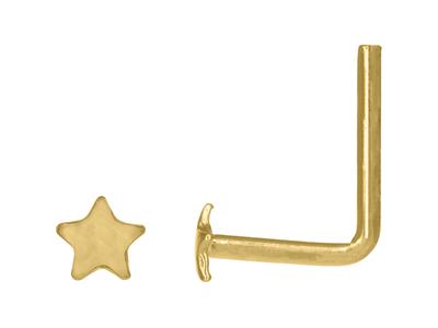 Nasenpiercing System 