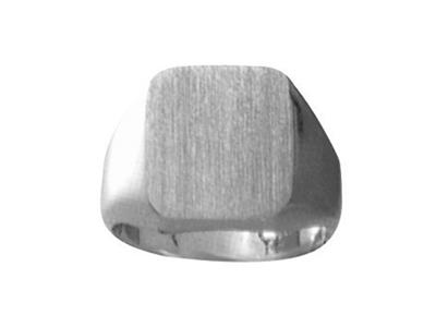 Massiver Siegelring Mit Gedrehtem Ring, Platte 15 X 13 Mm, Graugold Pd12. Ref. 31, Finger 62 - Standard Bild - 1