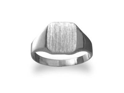Massiver Siegelring Mit Gedrehtem Ring, Platte 10 X 9 Mm, Graugold Pd 12. Ref. 35, Finger 66 - Standard Bild - 1