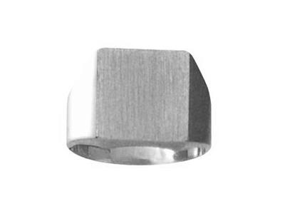 Massiver Siegelring Am Finger, Plateau 14 X 12 Mm, 18k Graugold Pd 12.ref. 423/12, Finger 66 - Standard Bild - 1