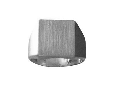 Massiver Siegelring Auf Gedrehtem Finger, Plateau 14 X 13 Mm, 18k Weißgold Pd 12. Ref. 423/14, Finger 50 - Standard Bild - 1