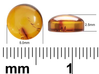 Naturbernstein, Runder Cabochon 5 MM - Standard Bild - 4