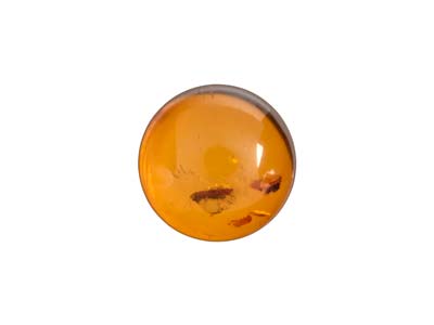 Naturbernstein, Runder Cabochon 8 MM