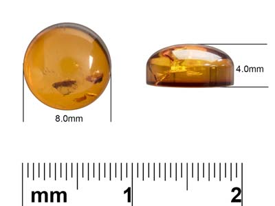 Naturbernstein, Runder Cabochon 8 MM - Standard Bild - 4