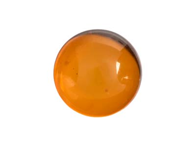 Naturbernstein, Runder Cabochon 10 MM