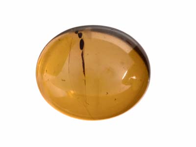 Natürlicher Bernstein, Ovaler Cabochon, 12 X 10 MM - Standard Bild - 1