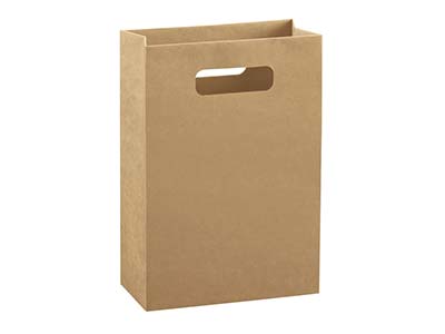 Kraft Gift Bag Large Pk 10 - Standard Bild - 1