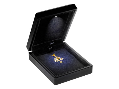 Anhängergehäuse Mit Led-licht, Schwarzes Kunstleder - Standard Bild - 3