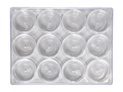 Perlenaufbewahrung, 12 Runde Gläserin Durchsichtiger Box Transparenten Box - Standard Bild - 3